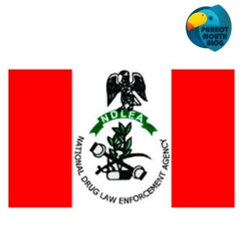 NDLEA
